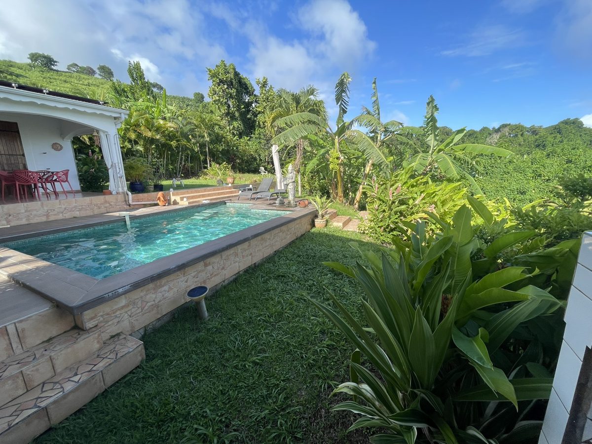 Piscine de villa entourée de bananiers et jardin tropical